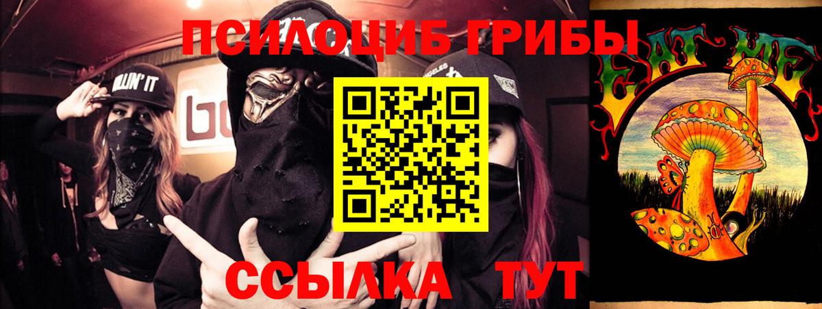 Воскресенск  Псилоцибиновые грибы GOLDEN TEACHER  Вход с VPN 